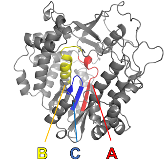 Example_Data/Images/ABC_Regions.PNG