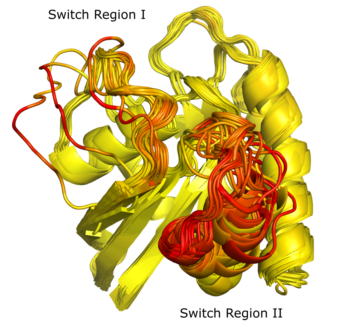 Example_Data/Images/KRAS_LGDs.png