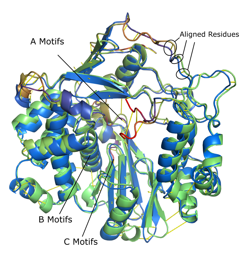 Example_Data/Images/RdRp_ABC_CAB.PNG